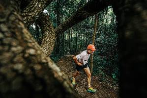 BIB: 
                            <button type="button" onclick="openModal(25667188)" class="btn btn-primary btn-sm float-right btn-popup" data-toggle="modal" data-target=".modal-high-quality">
                        <i class="fas fa-shopping-cart"></i> Add to Cart
                    </button>
                                            <button type="button" onclick="isThisMe(25667188, true)" class="btn btn-success btn-sm float-right btn-popup btn-isme hidden" data-toggle="tooltip" data-placement="bottom" title="นี่คือรูปของคุณใช่ไหม คลิกที่นี่เพื่อเอาเข้าอัลบั้ม">
                        <i class="fas fa-plus"></i> Add to album
                    </button>
                    <button type="button" onclick="isThisMe(25667188, false)" class="btn btn-warning btn-sm float-right btn-popup btn-isnotme hidden">
                        <i class="fas fa-ban"></i> Remove from album
                    </button>